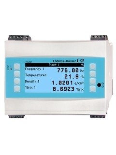 Computadora de medición de densidad vibrónica FML621-A22AAAAAB11 para lugares no peligrosos